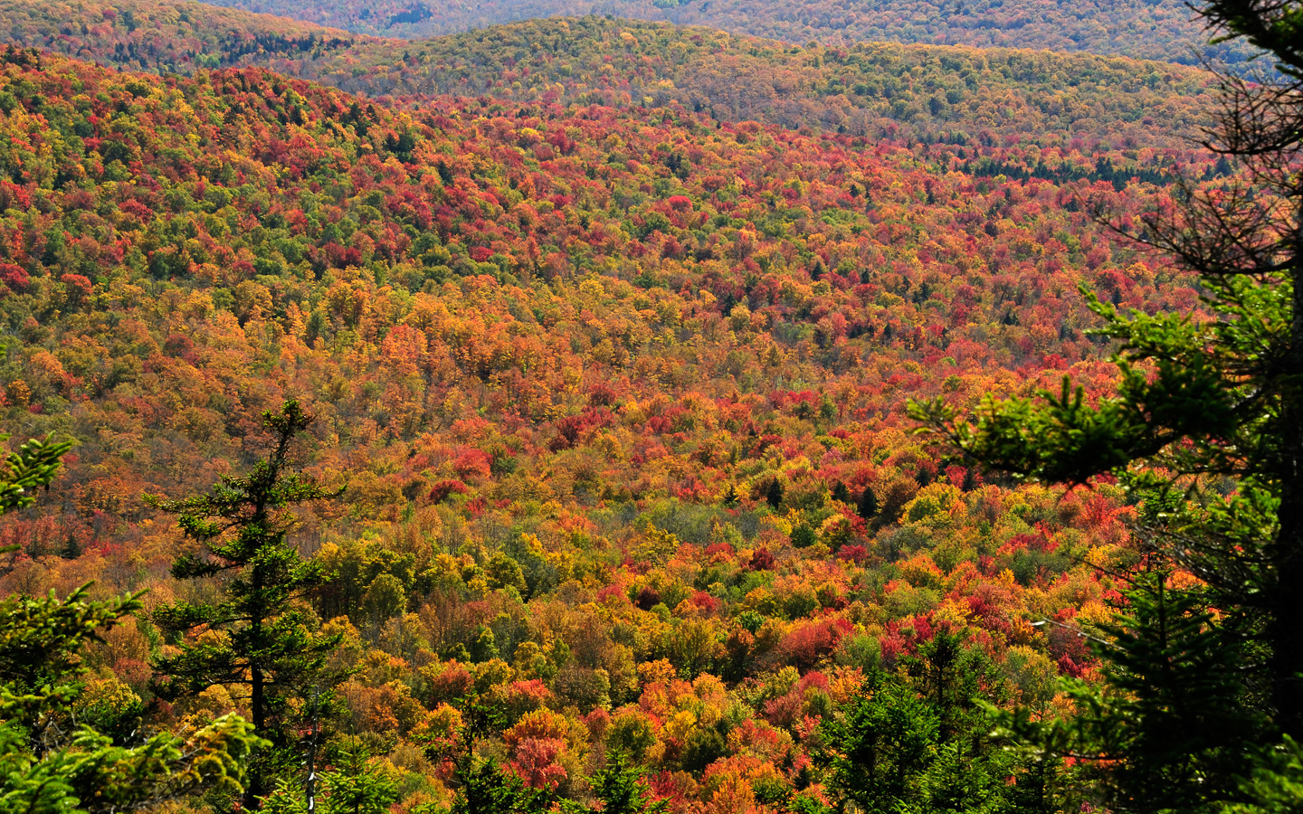 Hike up Mt. Cabot [98 mm, 1/125 sec at f / 18, ISO 400]